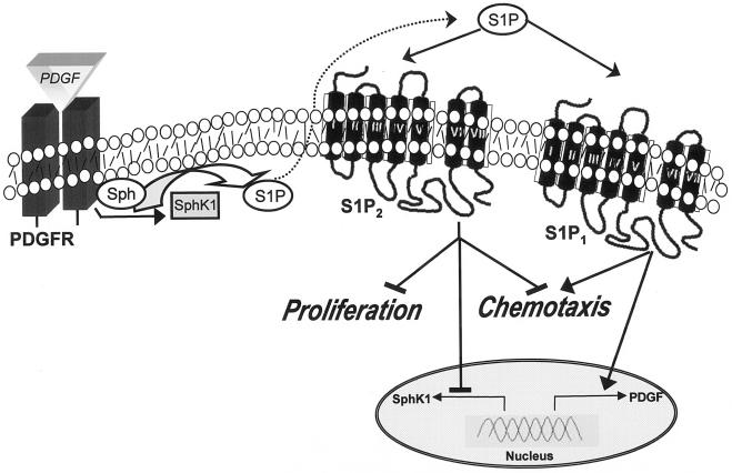 FIG. 9.