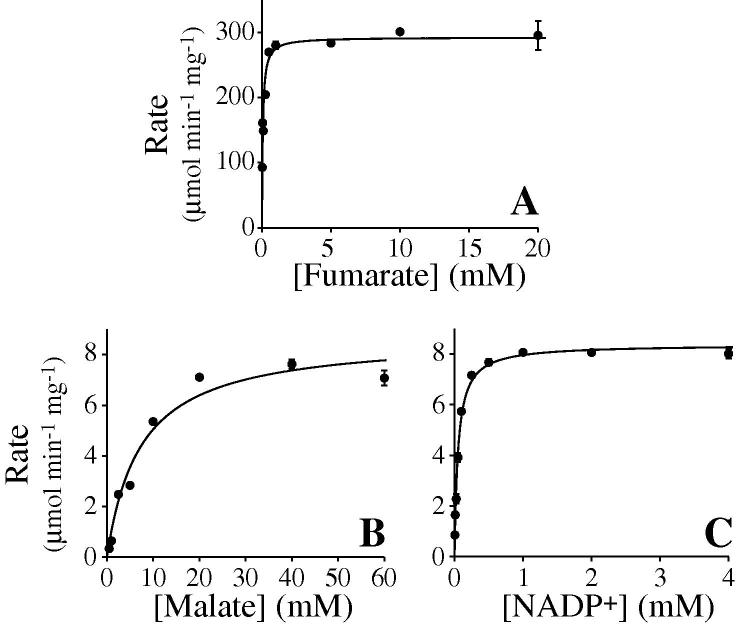 Fig.1