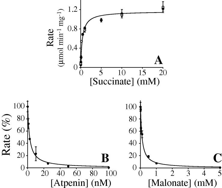 Fig.3