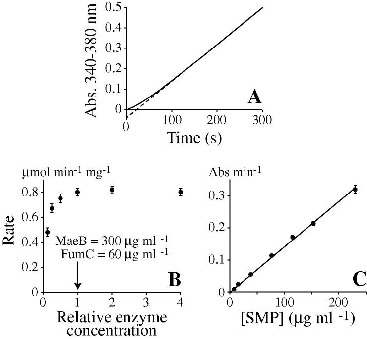 Fig.2