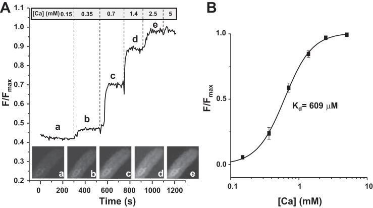 Fig. 2.