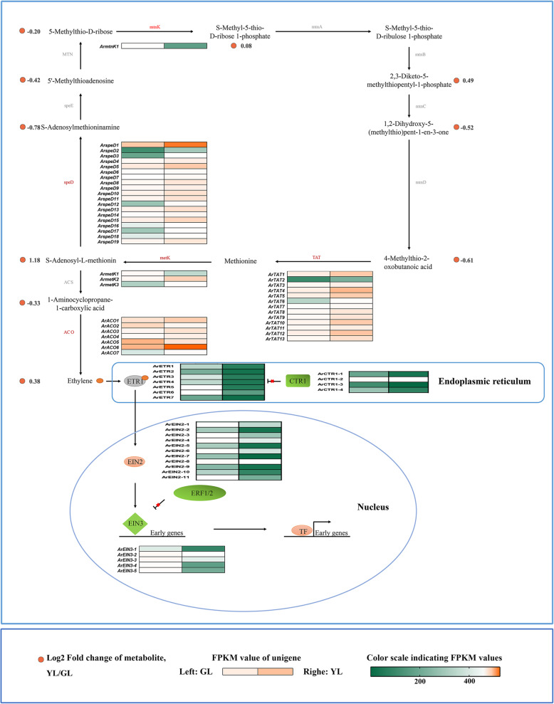 Fig. 2