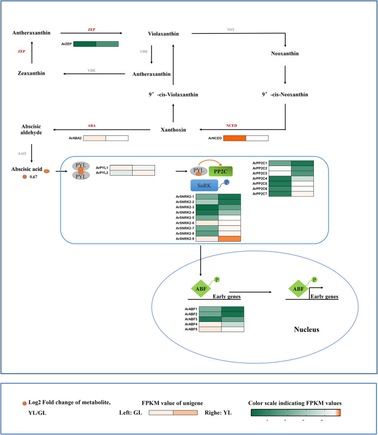 Fig. 3