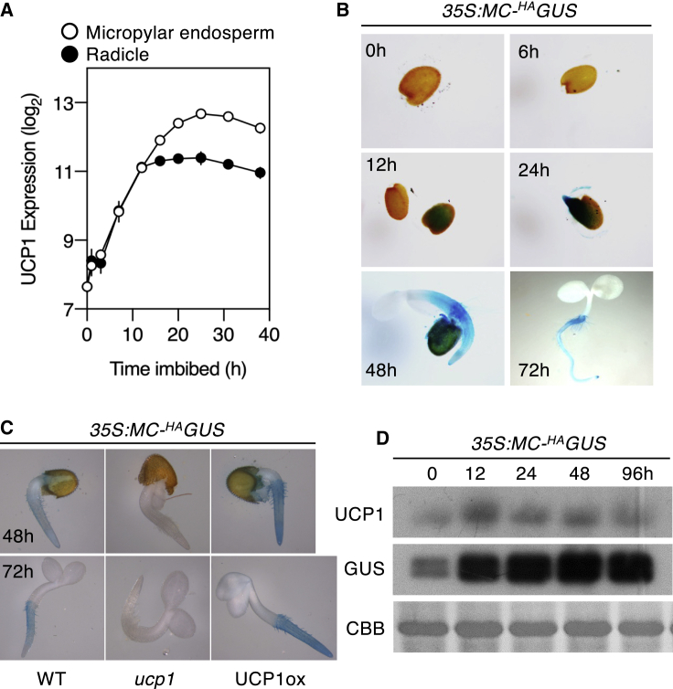 Figure 3