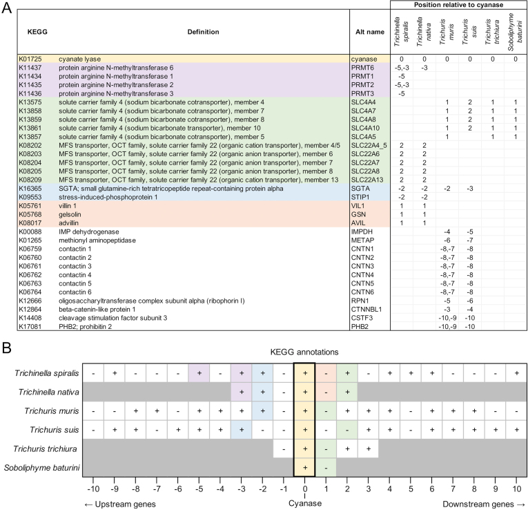 Supplementary Fig. S4