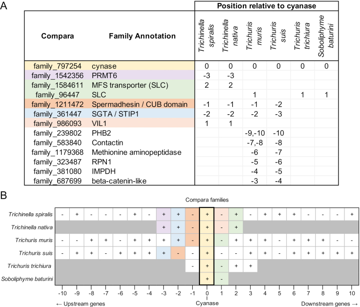 Supplementary Fig. S2