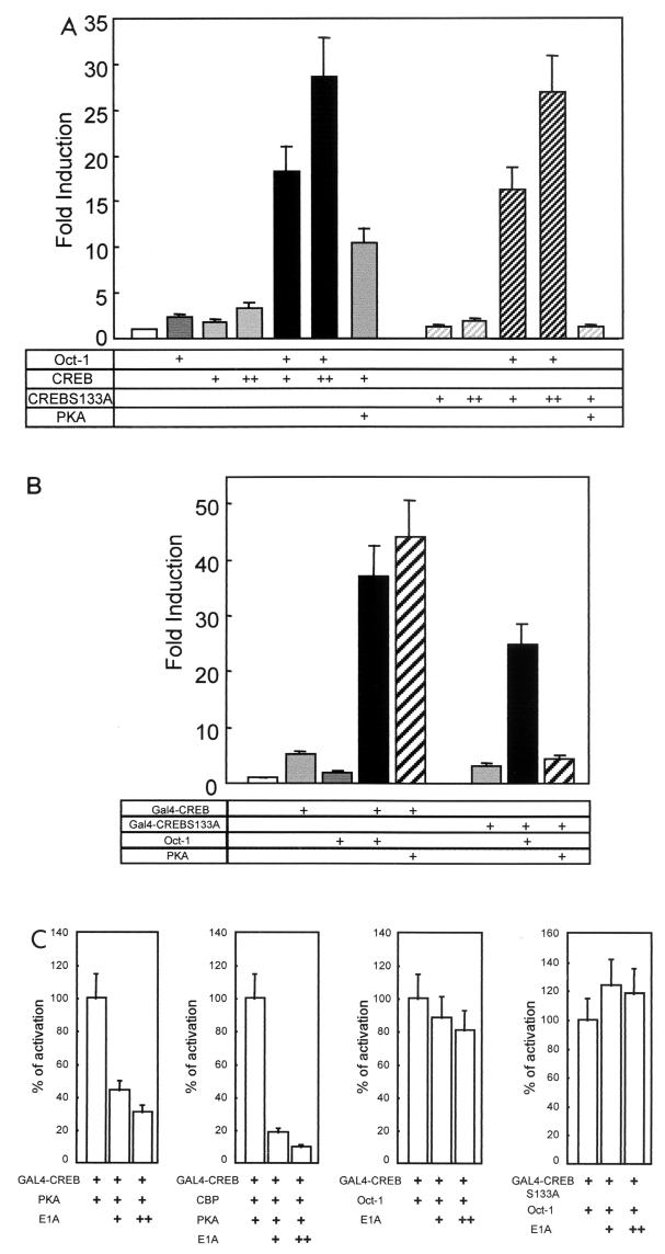 FIG.6.