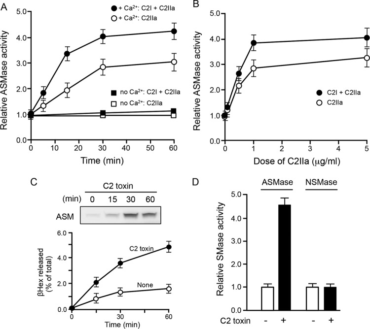 FIG 2