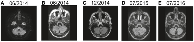 Figure 5