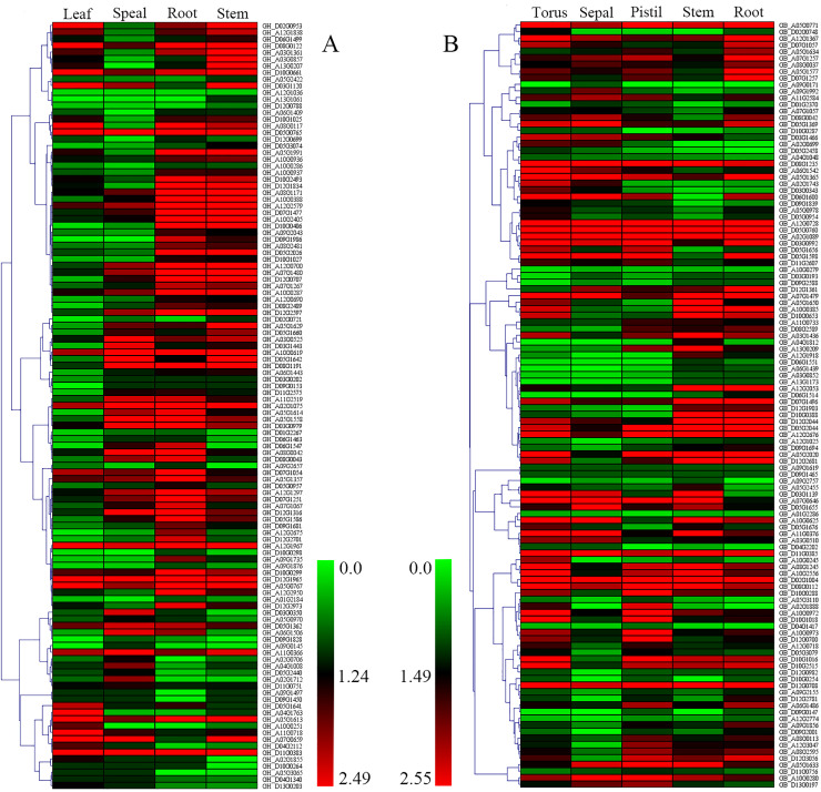 Fig 4