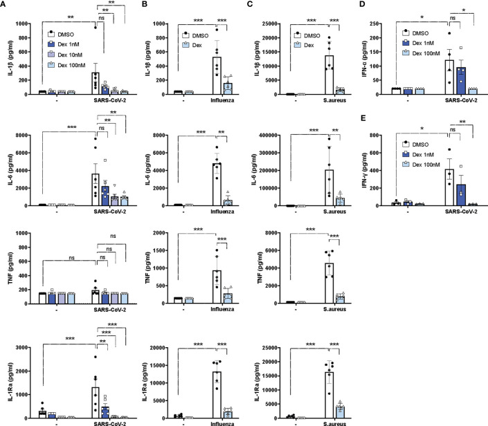 Figure 2