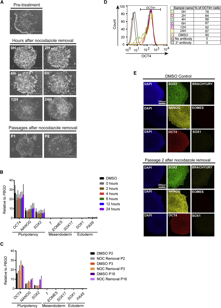 Figure 3