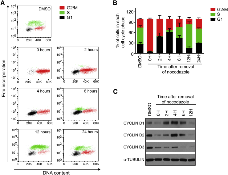 Figure 2