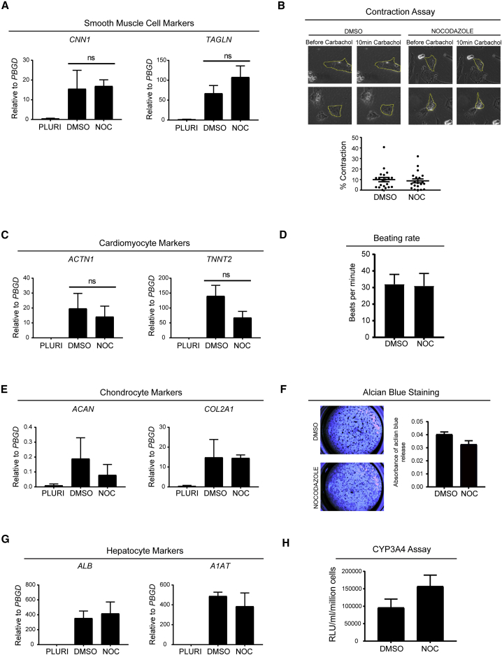 Figure 6