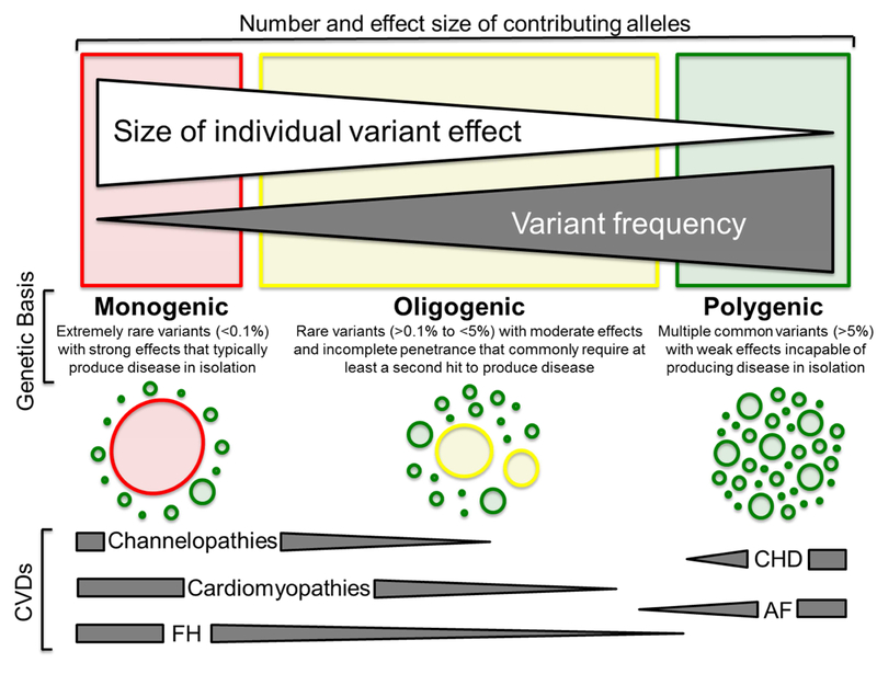 Figure 2 |