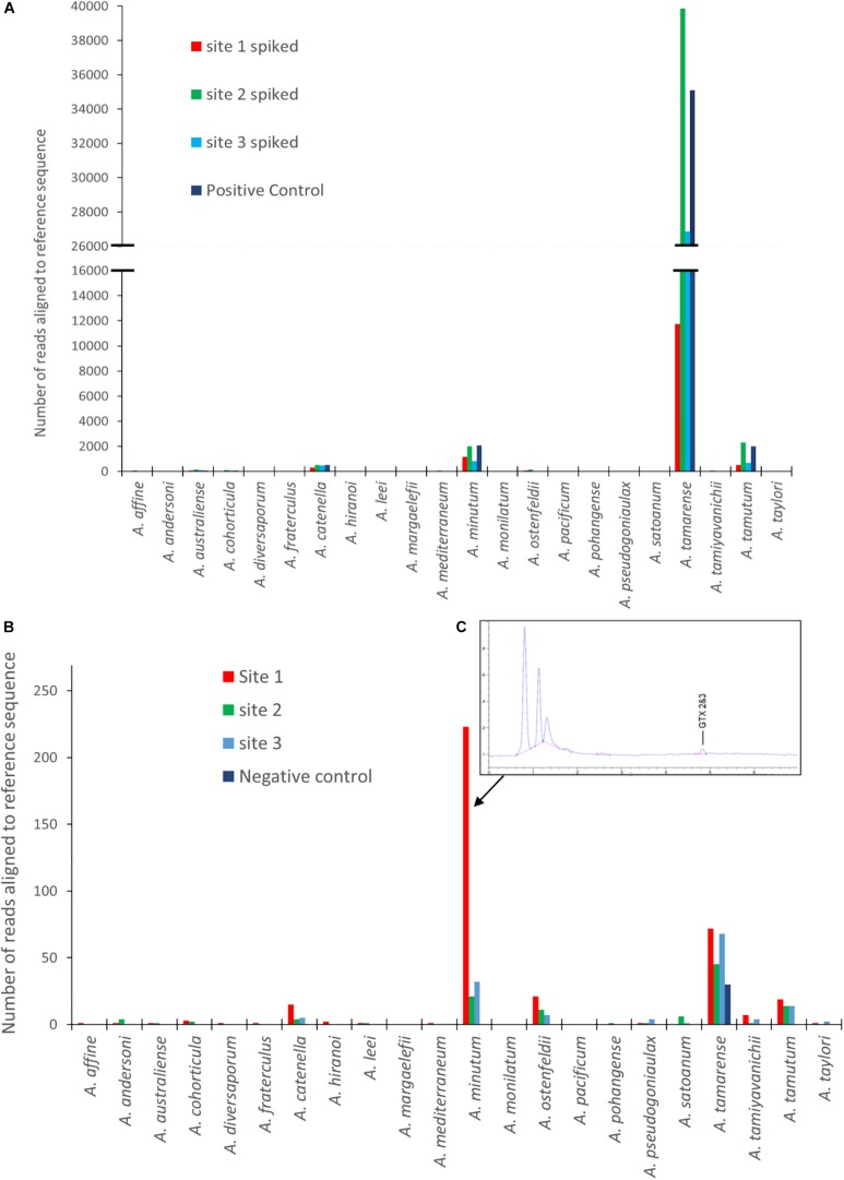 FIGURE 3