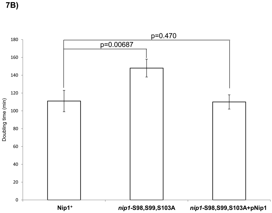 Figure 7