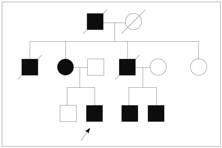 Fig. 1