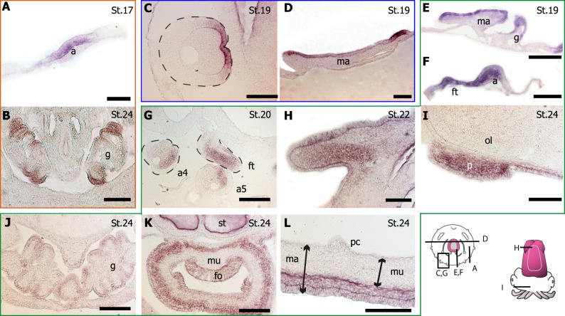 Fig 6