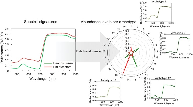 Fig. 2