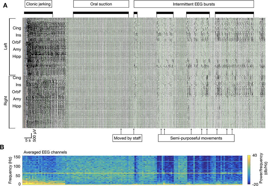 Figure 2: