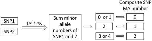 FIGURE 2