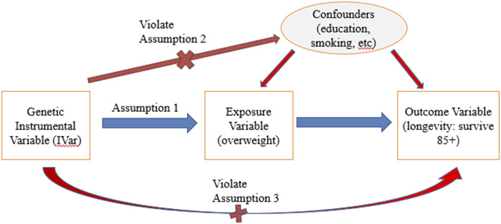 FIGURE 1