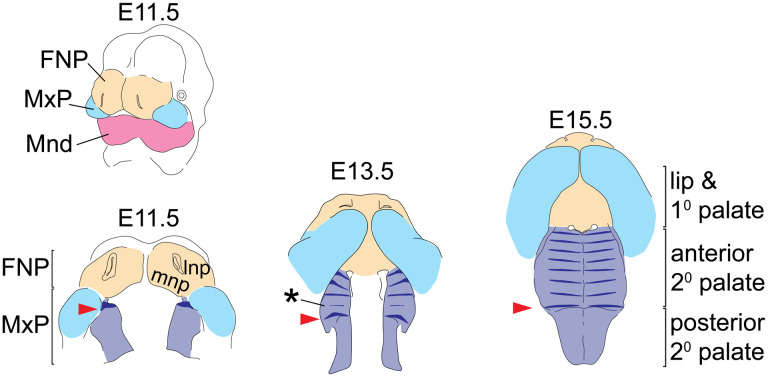 Figure 1 –