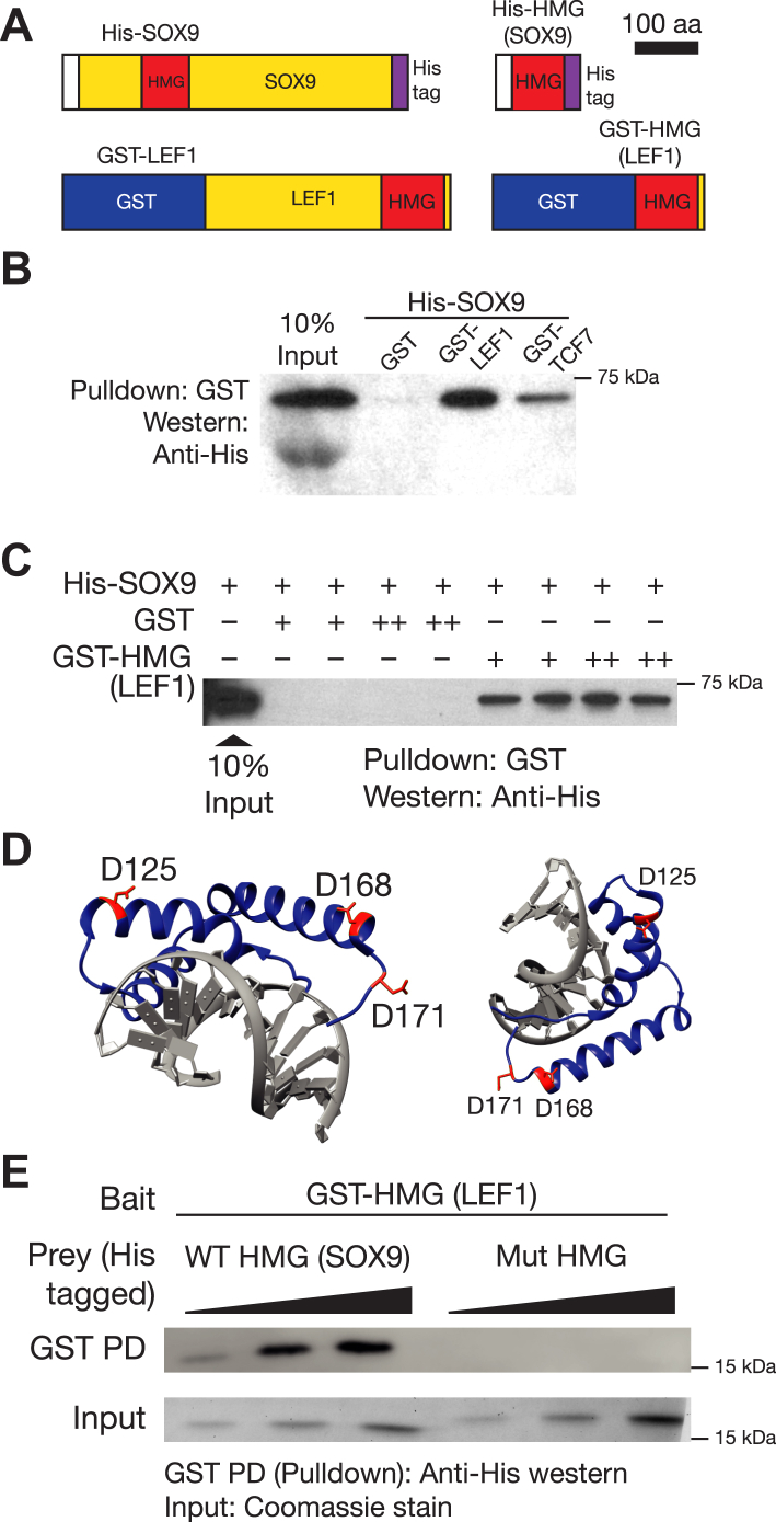 Figure 6