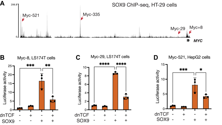 Figure 3