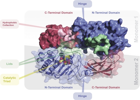 FIGURE 7.