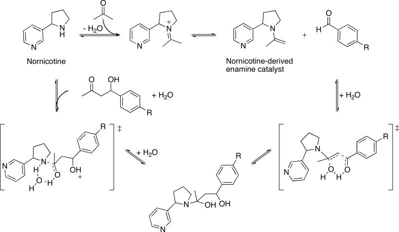 Scheme 1