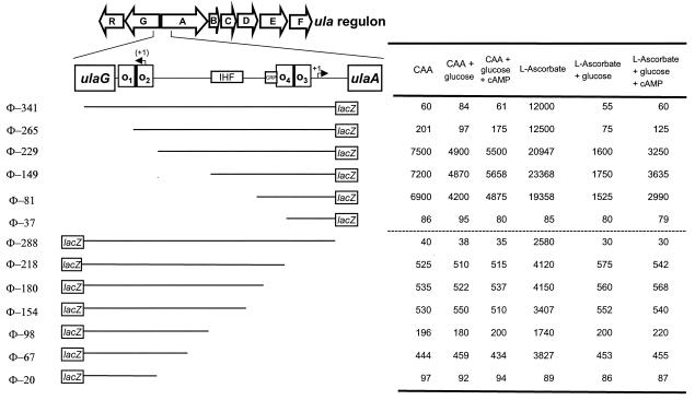 FIG. 7.