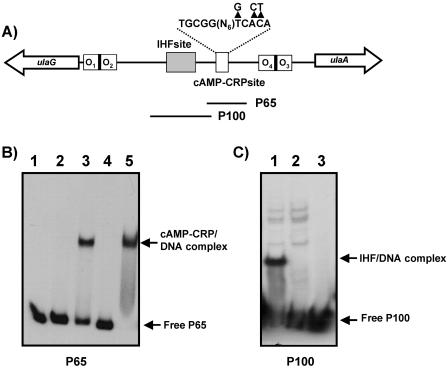 FIG. 6.