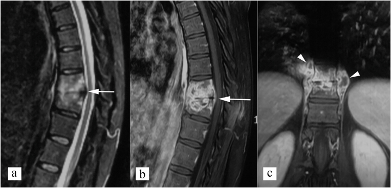 Fig. 6