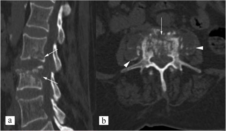 Fig. 5