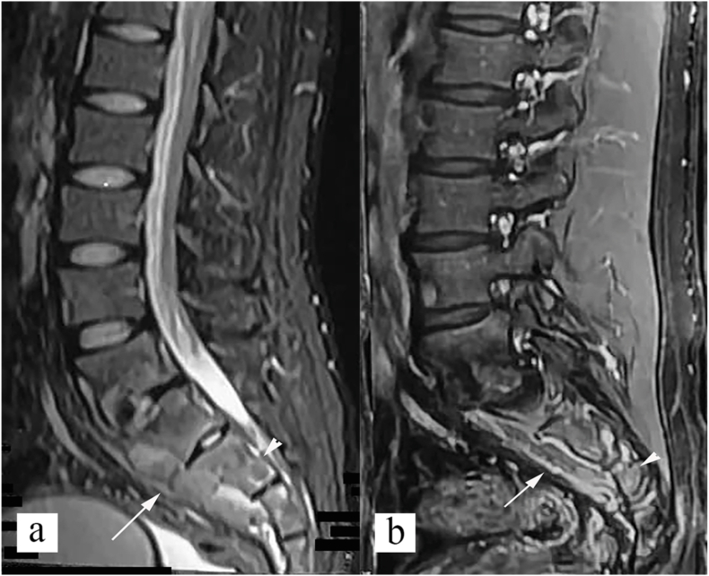 Fig. 8