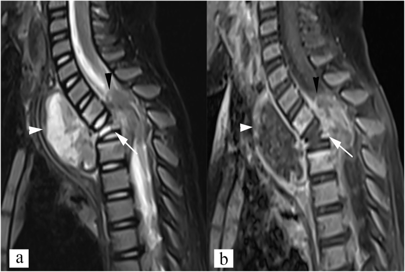 Fig. 7