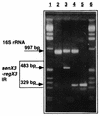 FIG. 5