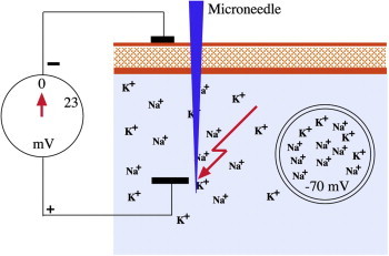 Figure 3