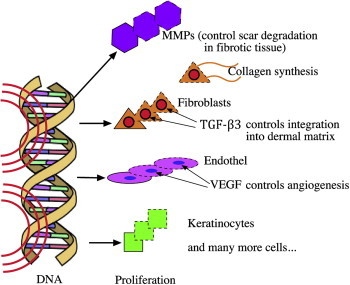 Figure 6