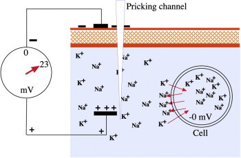 Figure 4