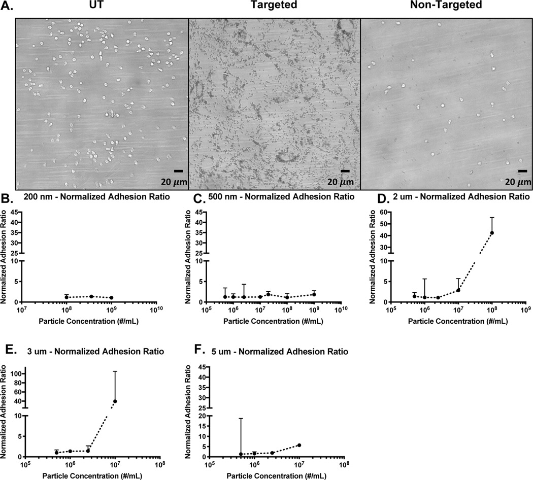 Figure 2 -