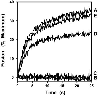 Fig 1.