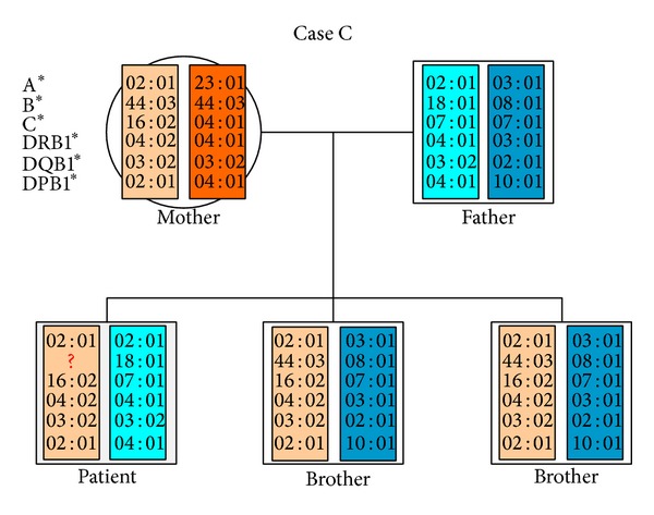 Figure 5