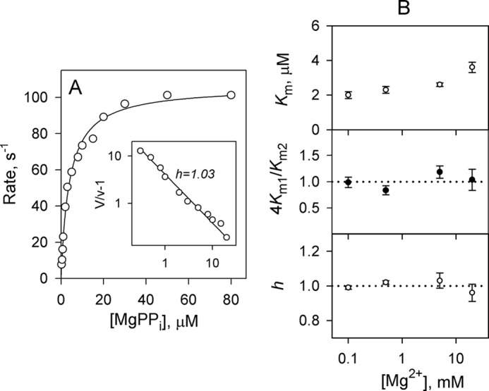 FIGURE 4.