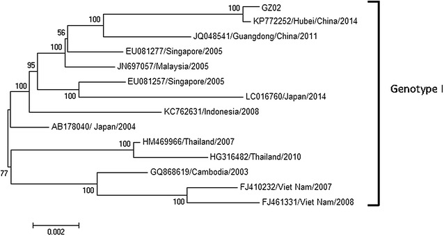 Fig. 1