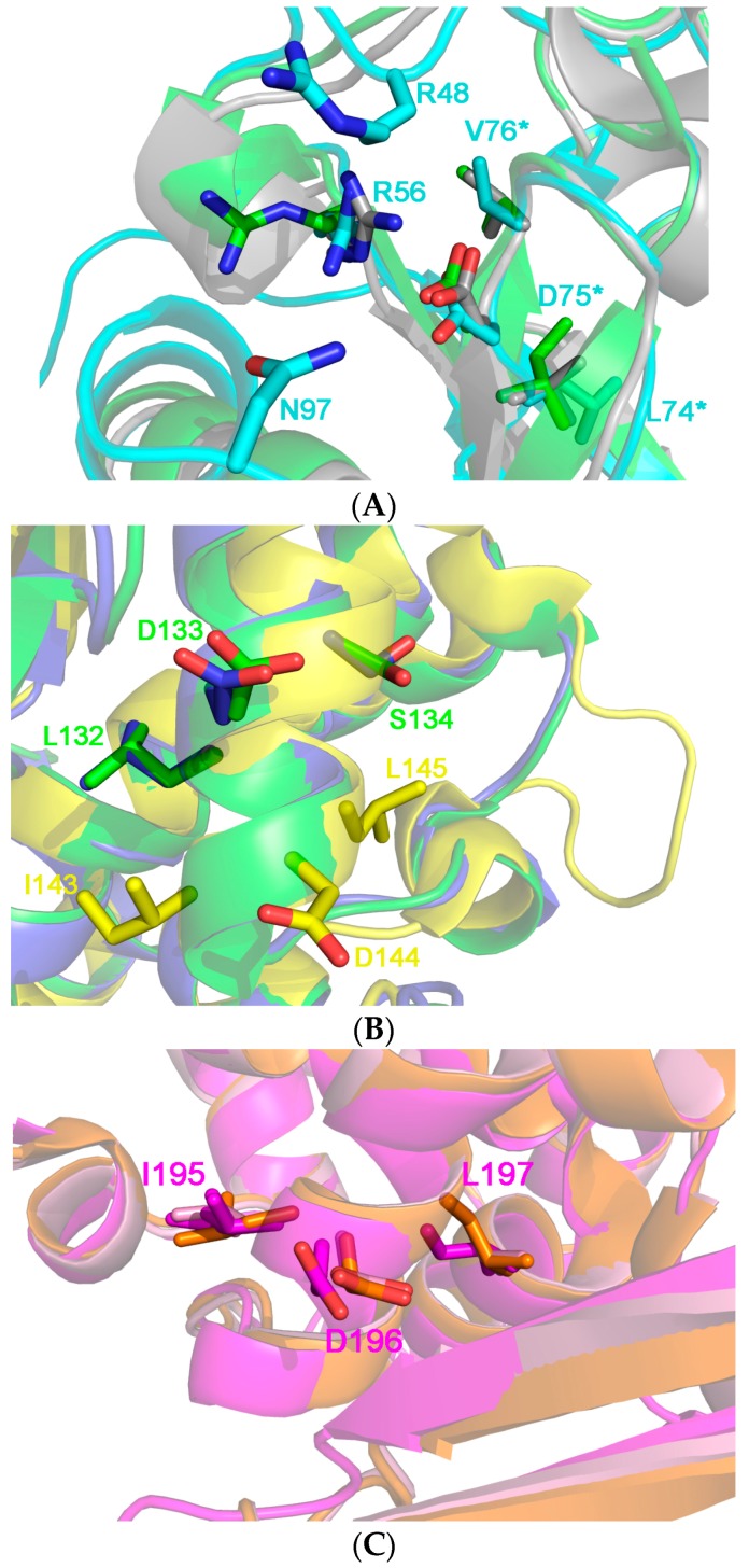 Figure 10