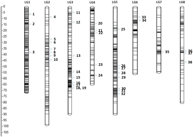 Fig 3