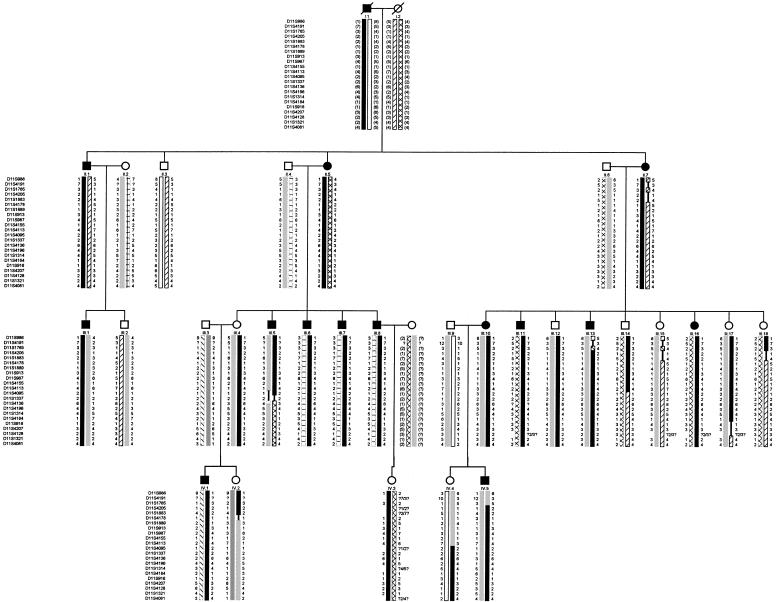 Figure  2